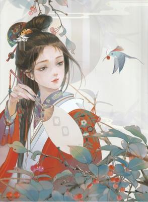 深入了解 含羞草红豆网